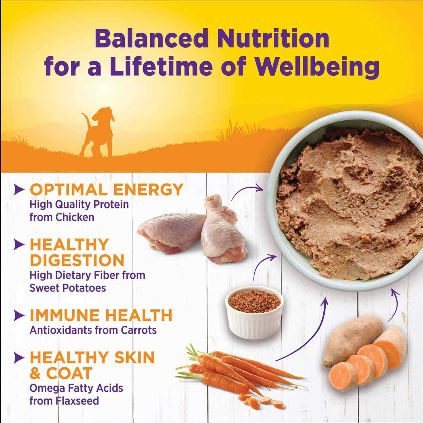 Wellness Just For Puppy Food - Healthber