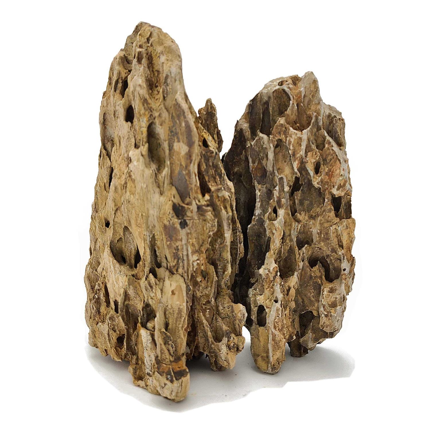 Lifegard Aquatics Dragon Songpi Ohko Rock 25 Gallon Kit - Healthber
