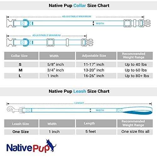 Native Pup Valentines Day Heart Dog Collar - Healthber