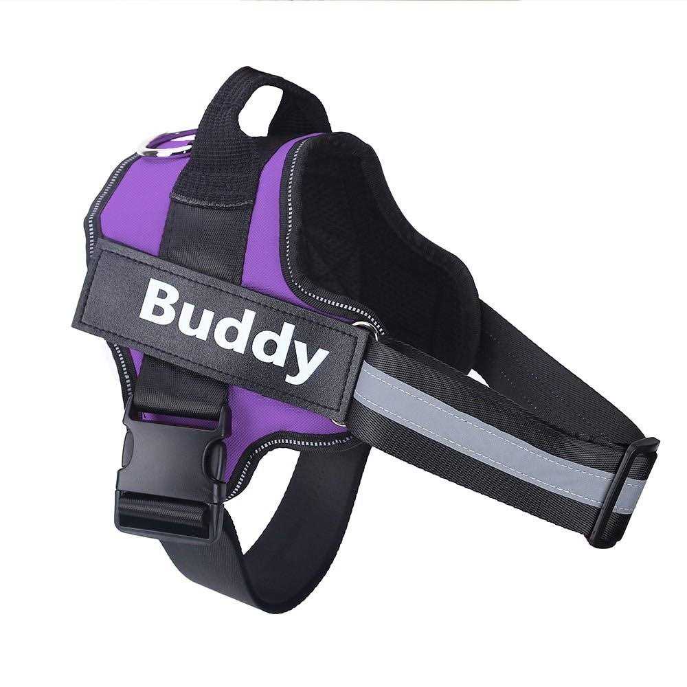 PawPawify Lifetime Warranty Personalized Easy-On No Pull Dog Harness - Healthber