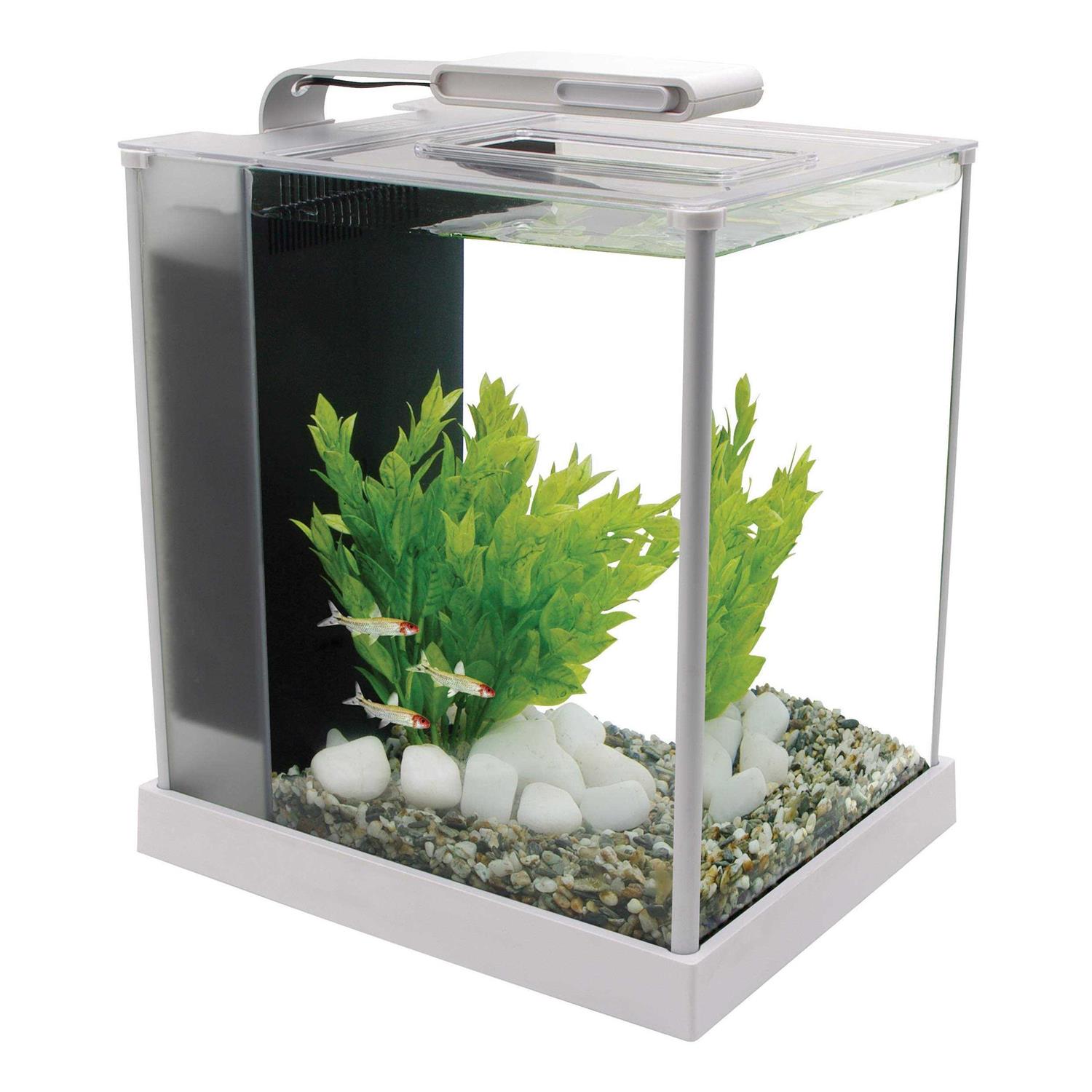 Hagen Fluval Spec III - Healthber