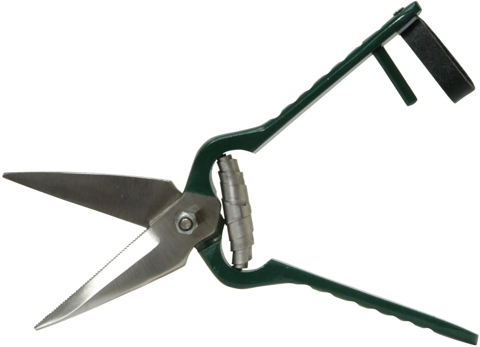 Serrated Foot Rot Hoof Trimming Shears - Healthber