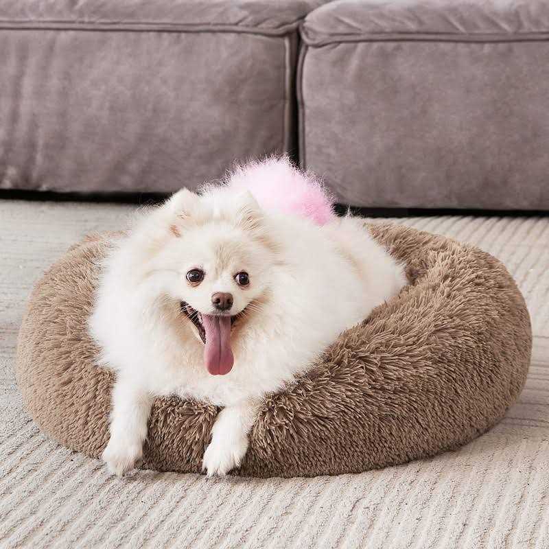 MIXJOY Orthopedic Dog Bed Comfortable Donut Cuddler Round Dog Bed Ultra Soft Washable Dog and Cat Cushion Bed - Healthber