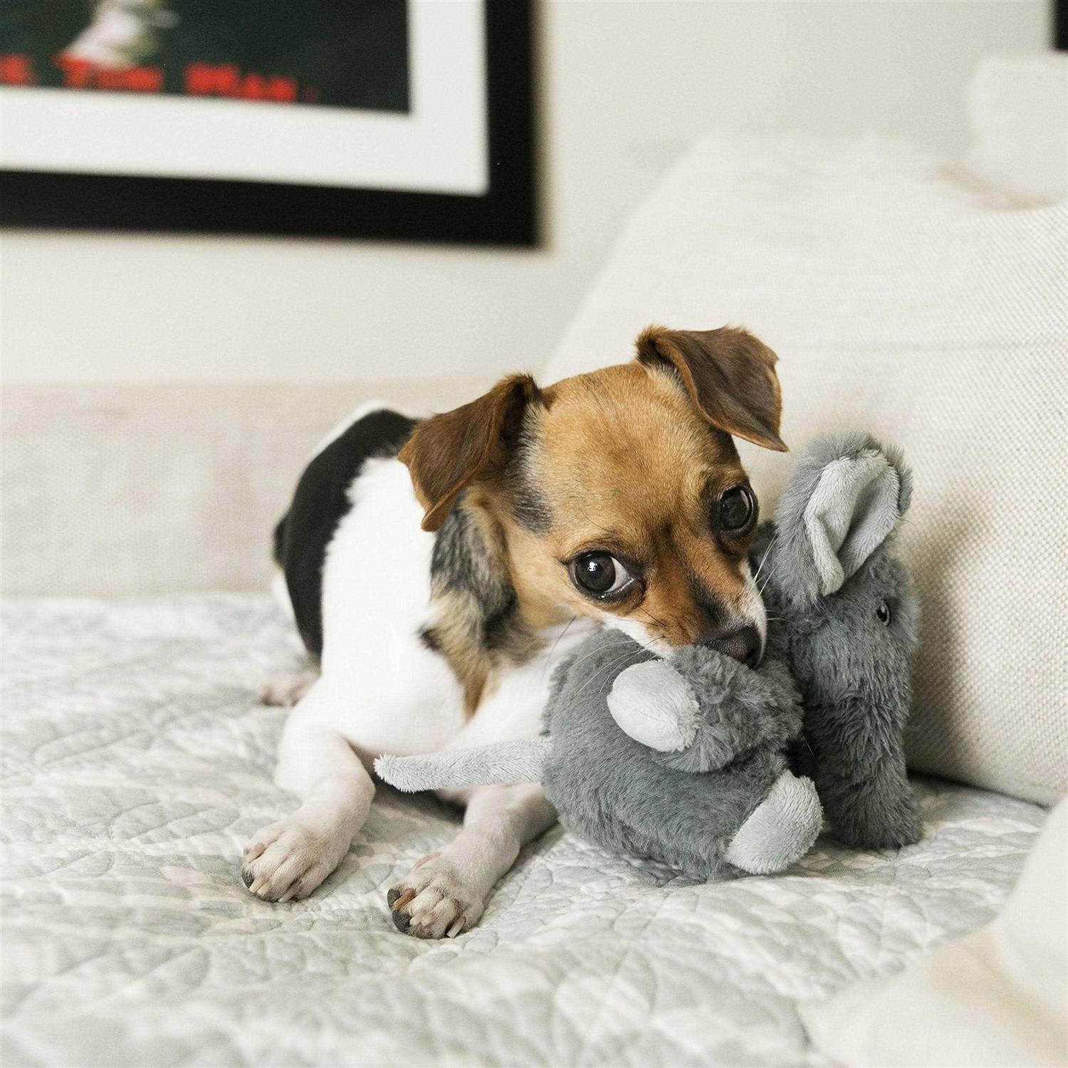 KONG Comfort Kiddos Elephant Dog Toy - Healthber