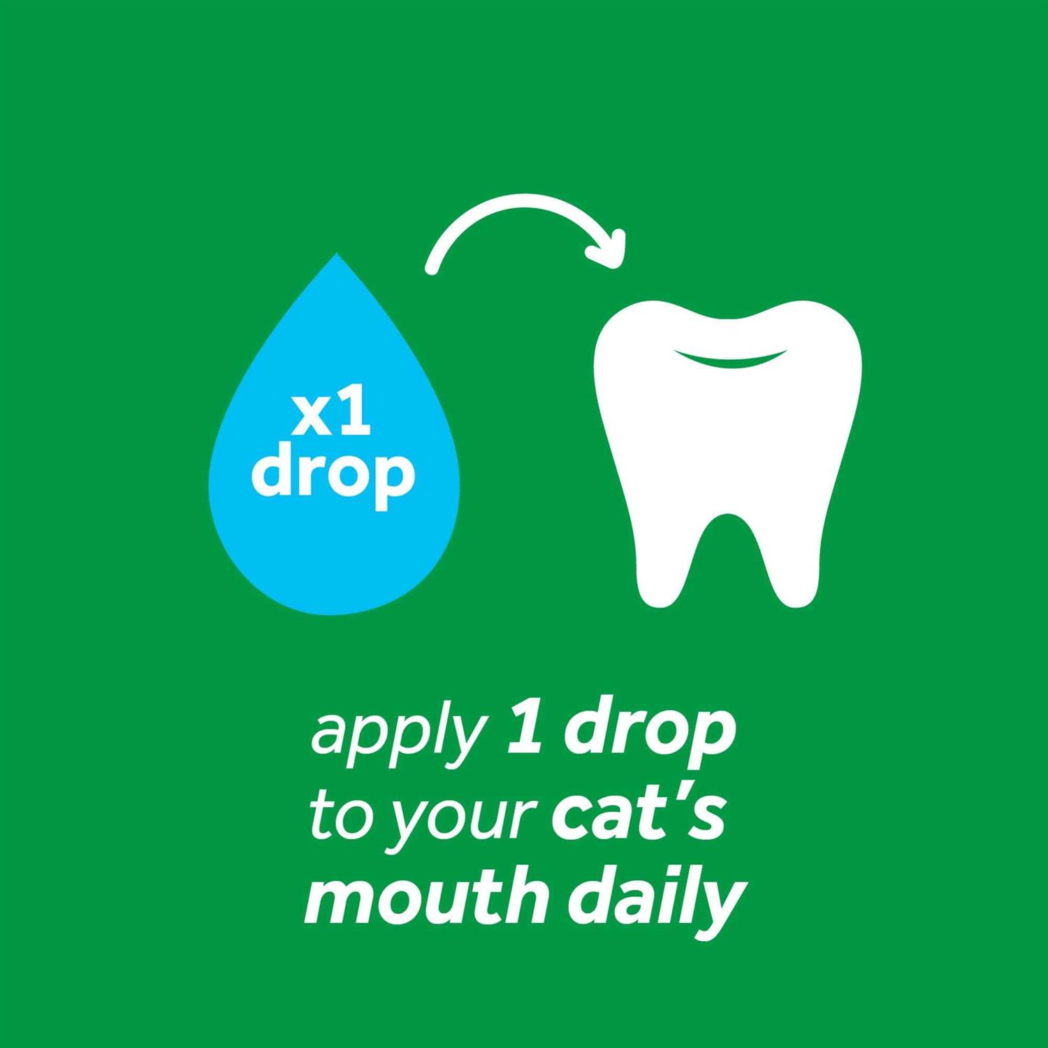 TropiClean Fresh Breath Clean Teeth Gel for Cats - Healthber