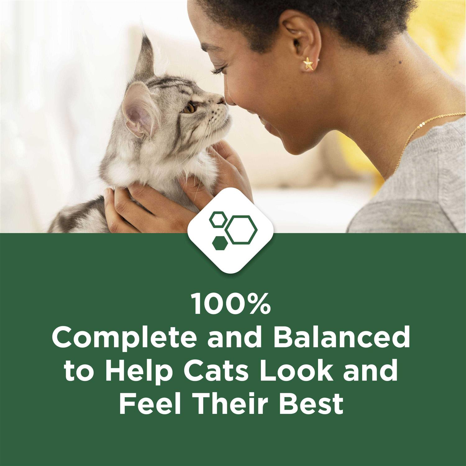 Purina Cat Chow Indoor Dry Cat Food - Healthber