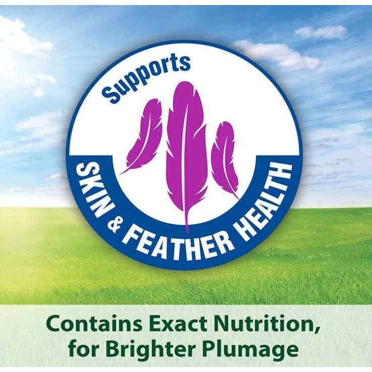 Kaytee Fiesta Cockatiel Food - Healthber