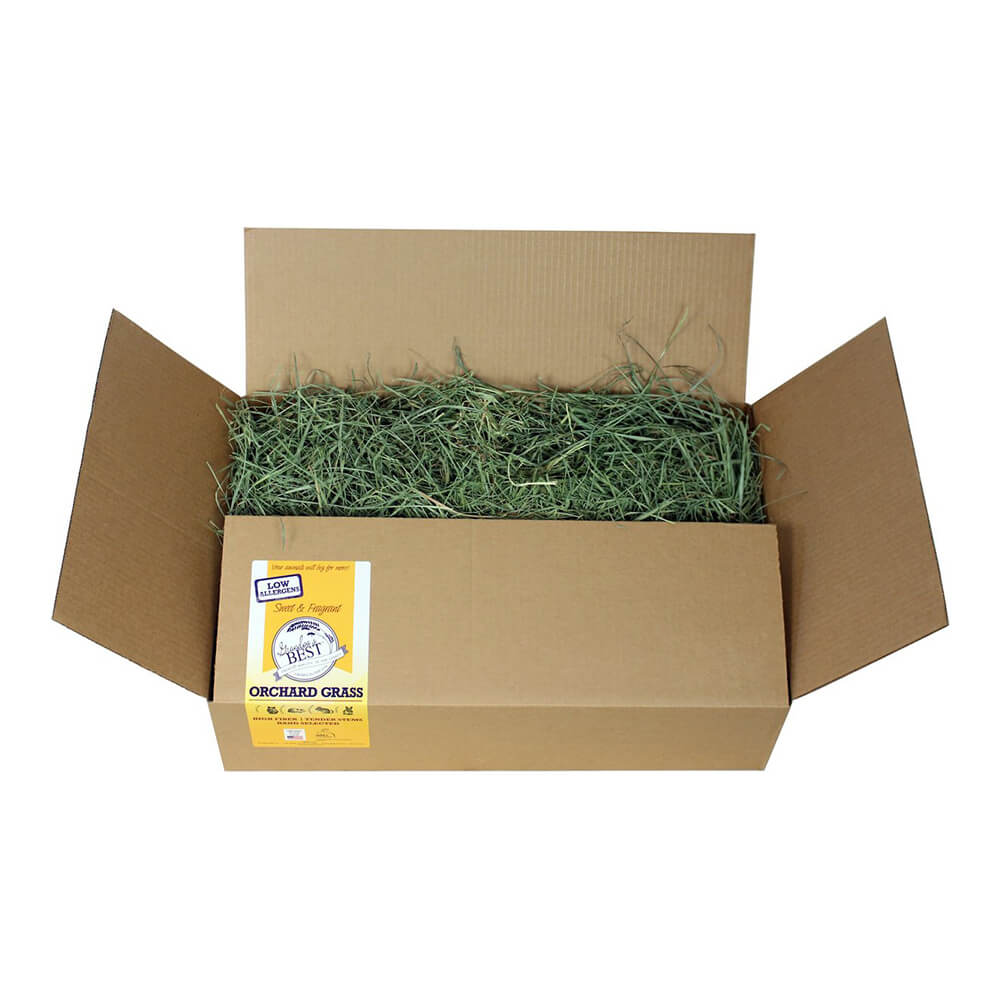 Grandpa's Best Orchard Grass Loose Boxed Hay - Healthber