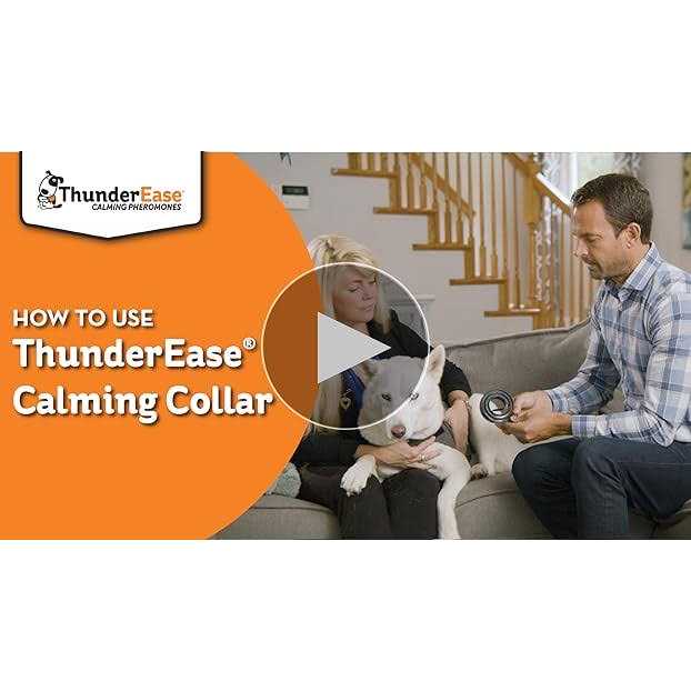 ThunderEase Calming Dog Collar - Healthber
