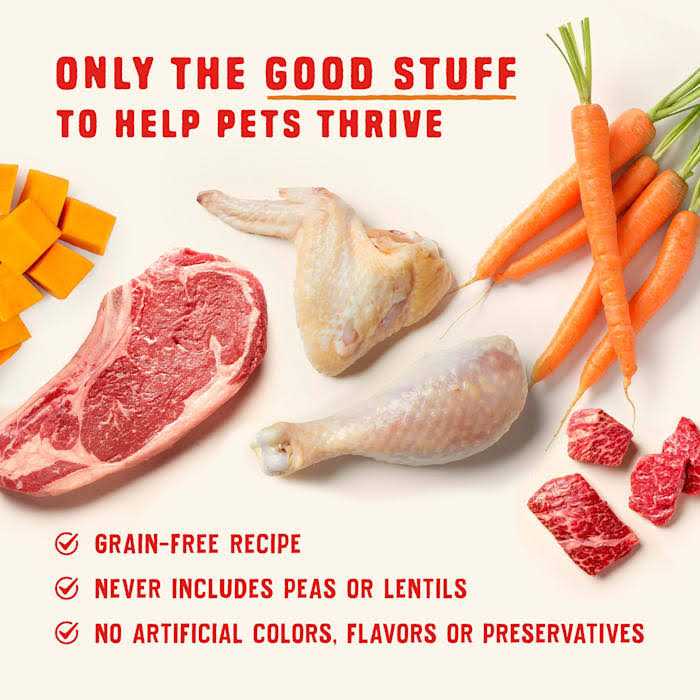 Stella & Chewy’s Wild Red High Protein Chicken Stew Recipe Wet Dog Food - Healthber