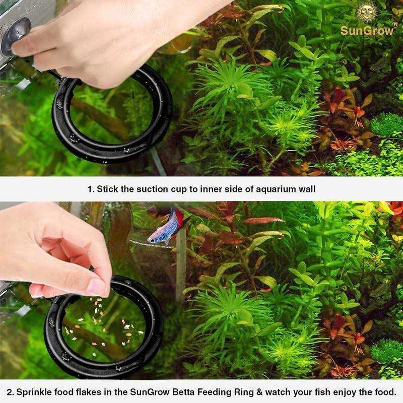 SunGrow Betta & Goldfish Food Pellets & Flakes Fish Feeding Ring - Healthber