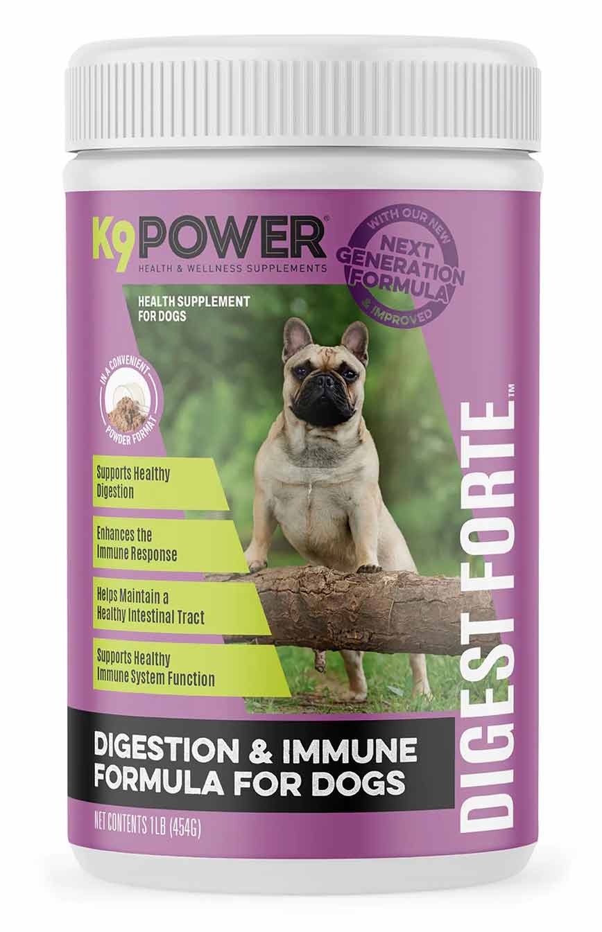 K9 Power Digest Forte Digestion & Immune Formula for Dogs - Healthber