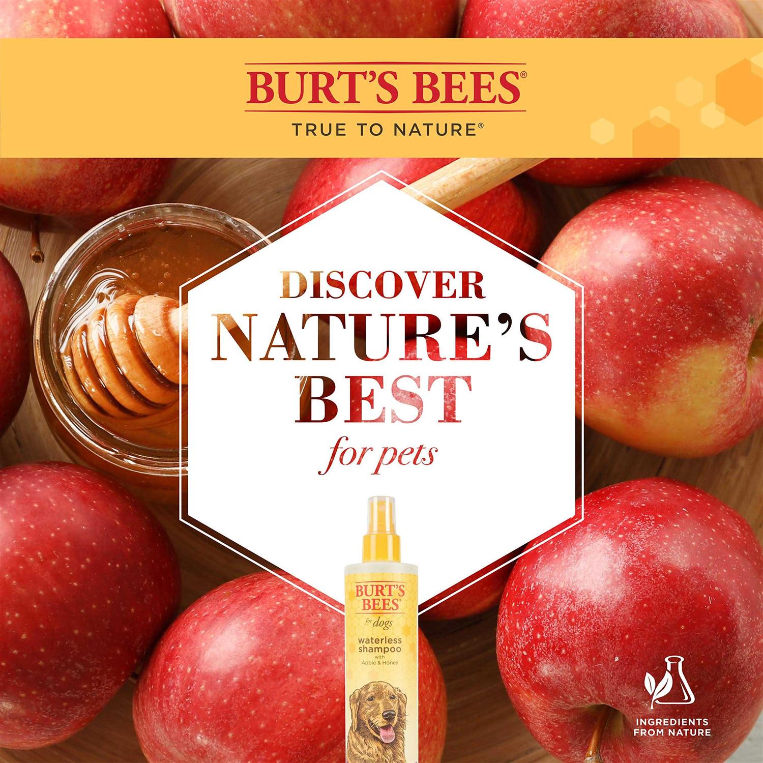 Burt’s Bees Waterless Shampoo with Apple & Honey - Healthber