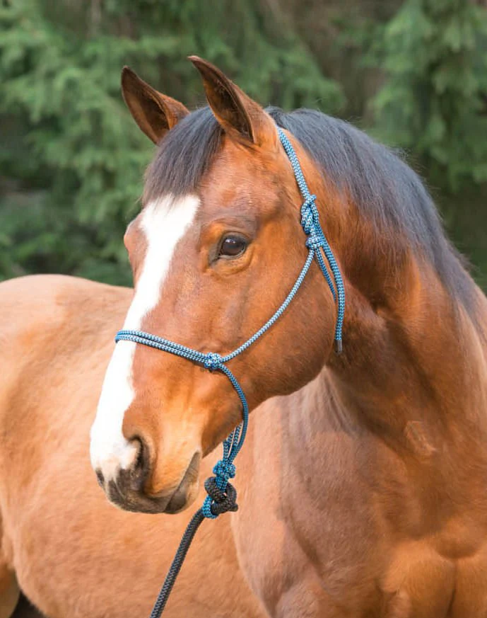 Weaver Silvertip Big Sky Rope Halter, Full Size - Healthber