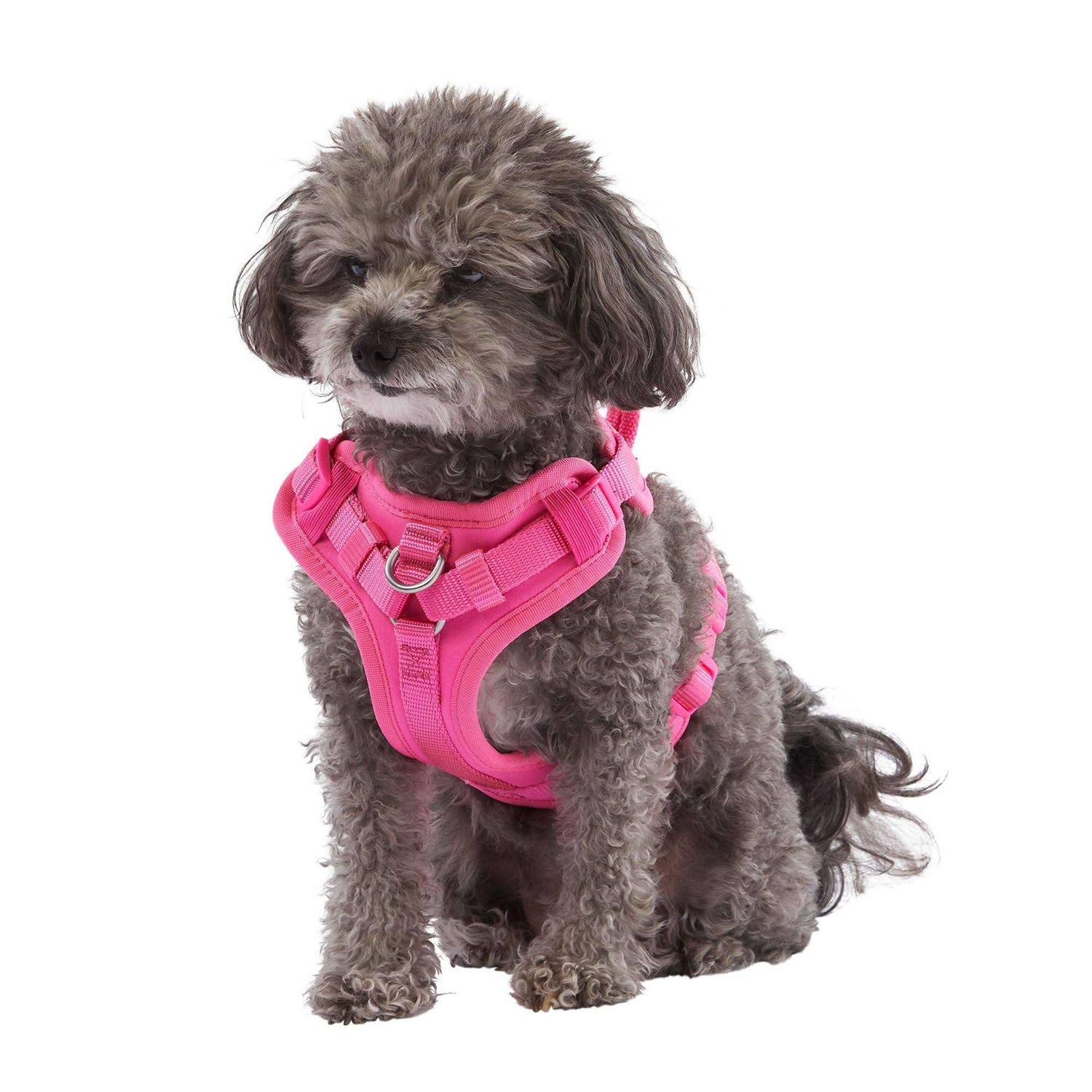 Top Paw Neoprene Comfort Dog Harness - Healthber