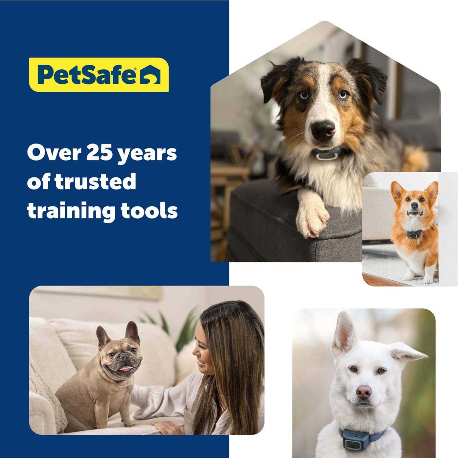 PetSafe 300 Yard Remote Trainer - Healthber