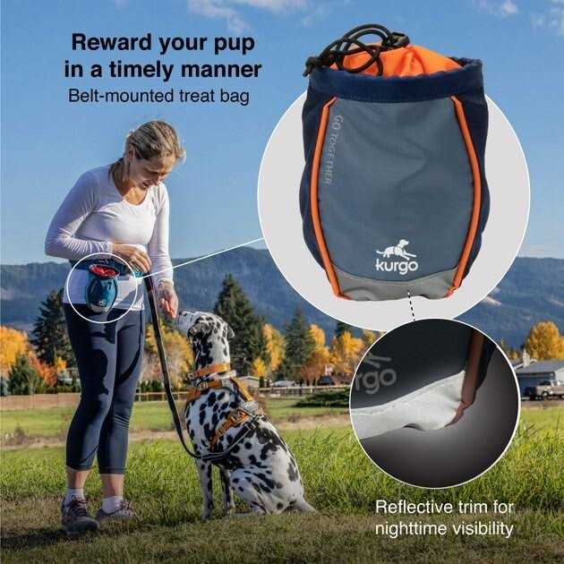 Kurgo Go Stuff It Dog Treat Bag - Healthber