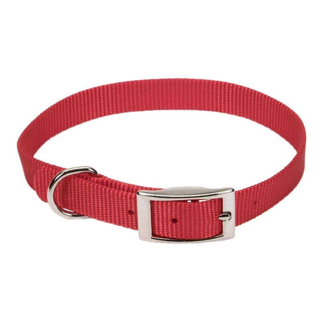 Coastal Nylon Pet Collar - Healthber