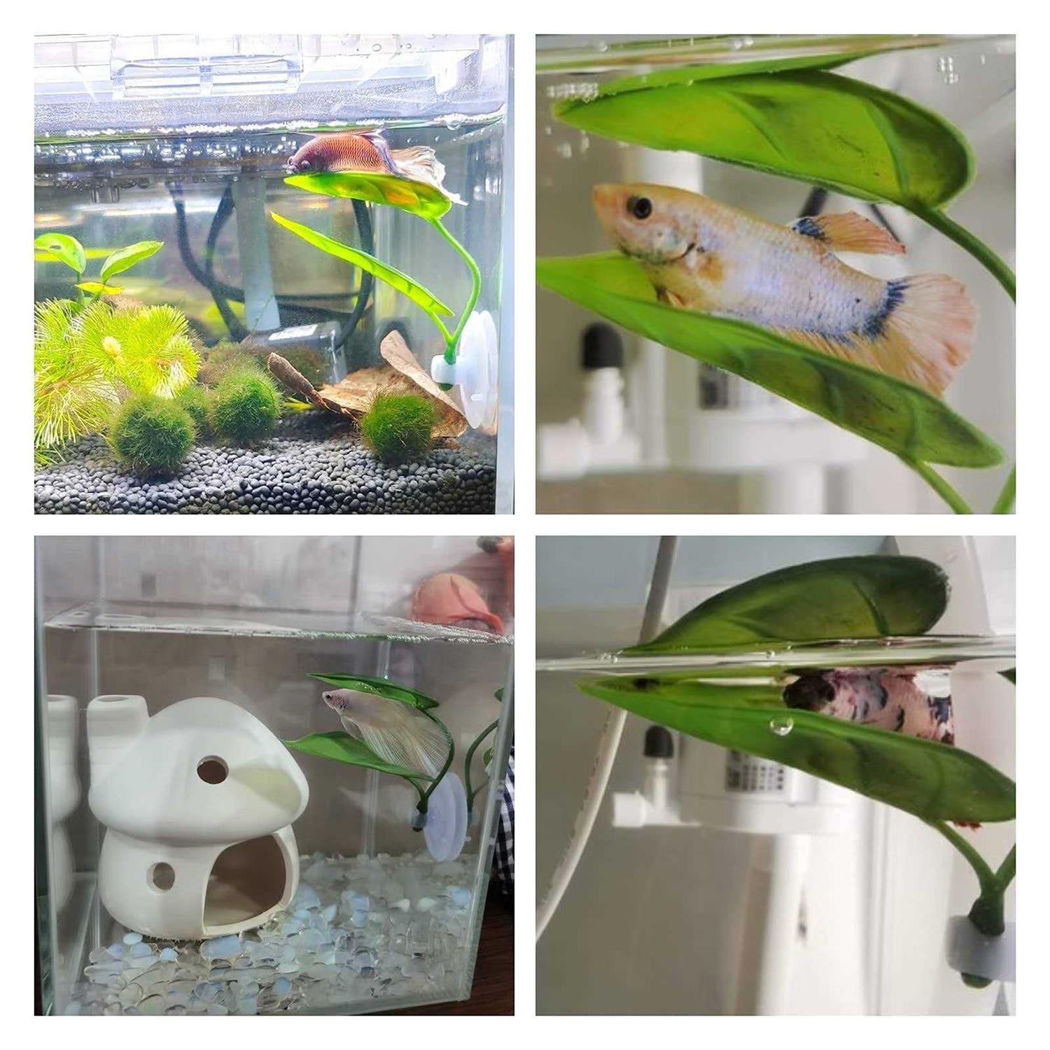 Betta Fish Leaf Pad Simulating The Natural Habitat for Betta Spawning Grounds Breeding Resting Bed Plastic Suction Cup - Healthber