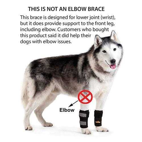 NeoAlly Pair Dog Front Leg Braces and Support Canine Front Leg Wrist Carpal - Healthber