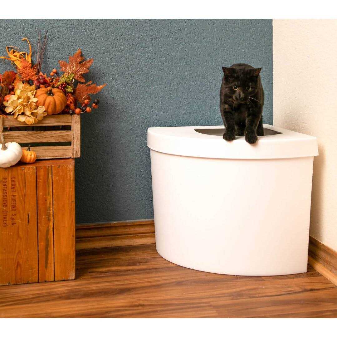 Standard Litter Box Kitangle - Healthber