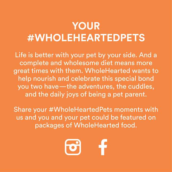 WholeHearted Grain Free Chicken Recipe Dry Kitten Food - Healthber