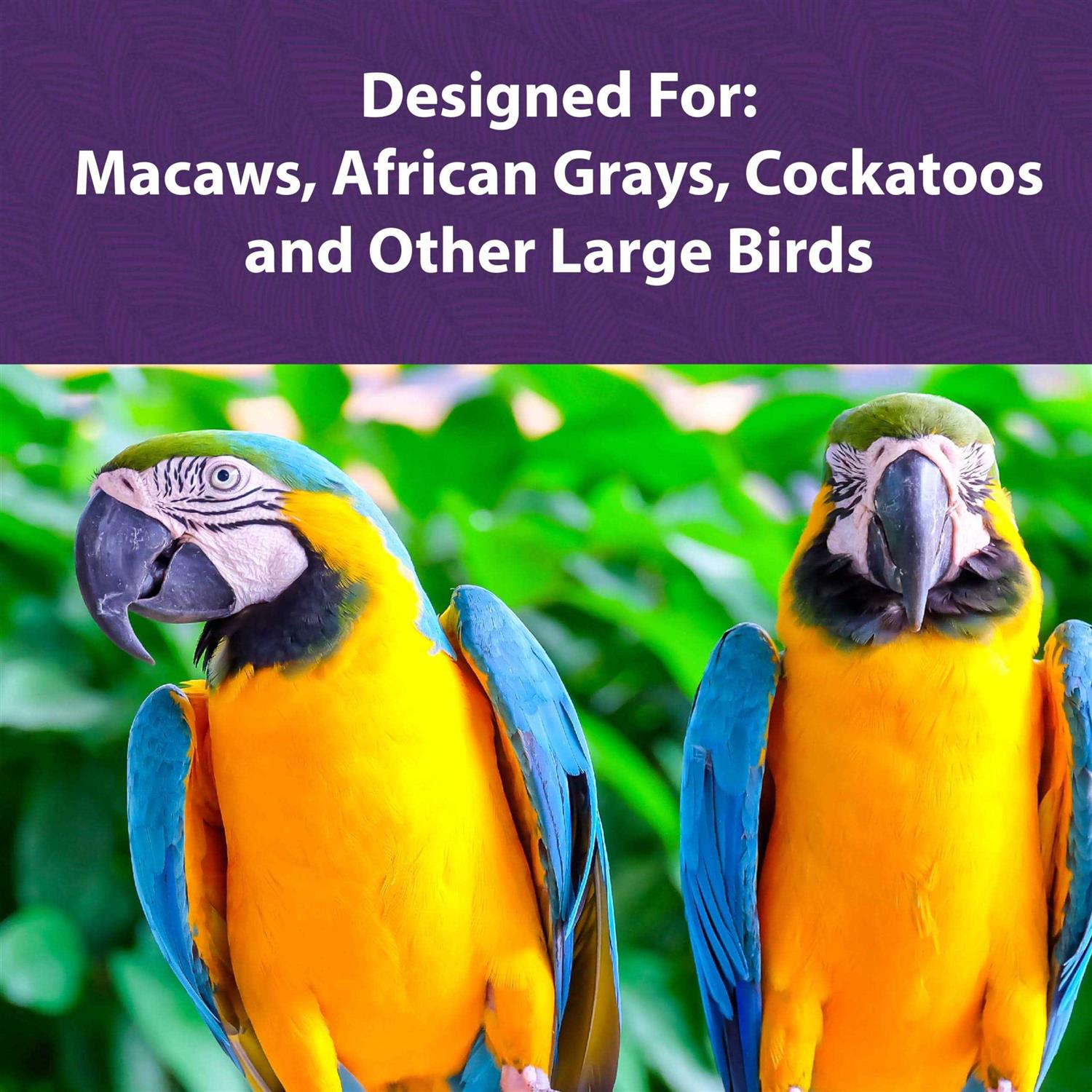Mazuri Large Bird Food - Healthber