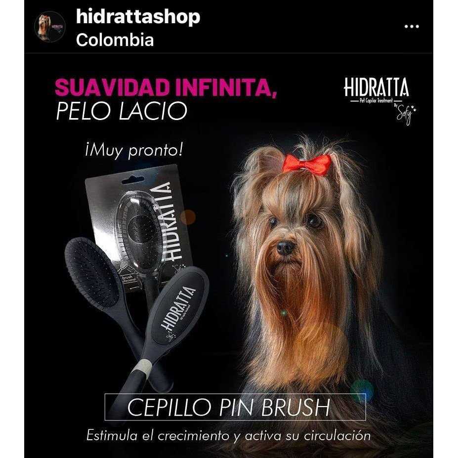 Hairbrush for pets - Healthber