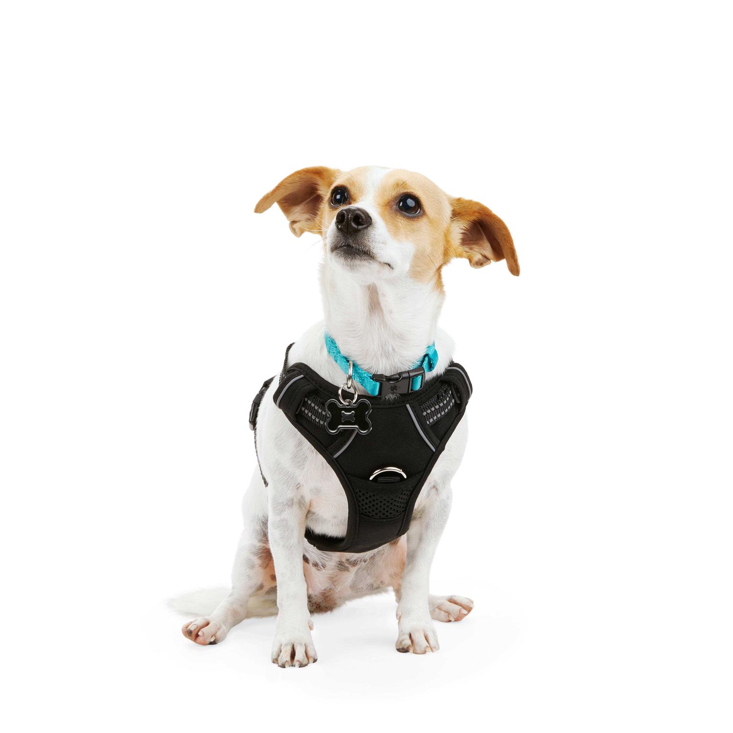 EveryYay Embrace the Pace Black Front Walking Dog Harness - Healthber