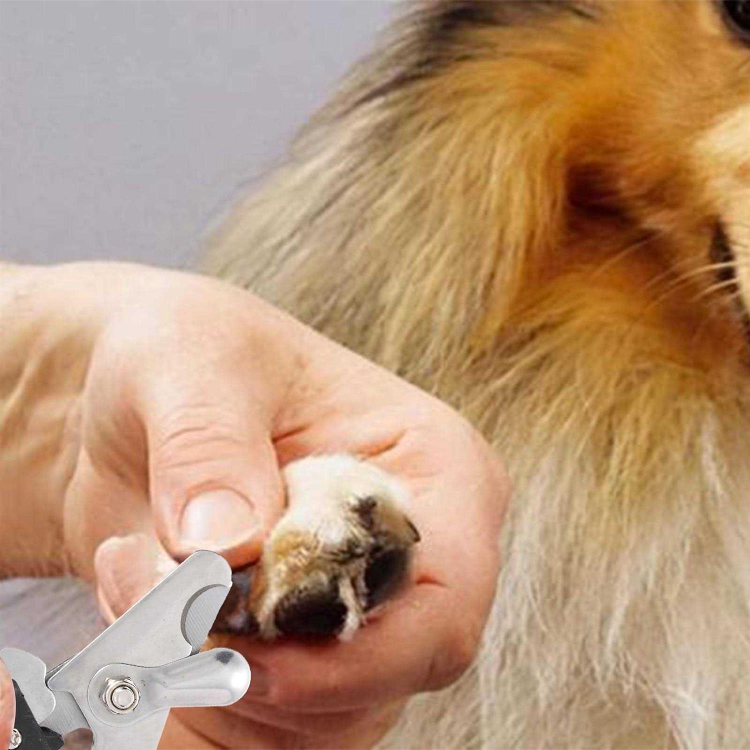 KABUDA 2 Pack Pet Nail Trimmer Clipper Set with 2 Nail Files Dog Nail Clippers for Small - Healthber