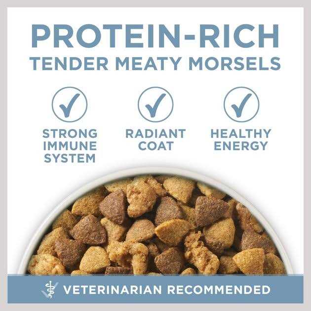 Purina ONE Joint Health Dry Dog Food - Healthber