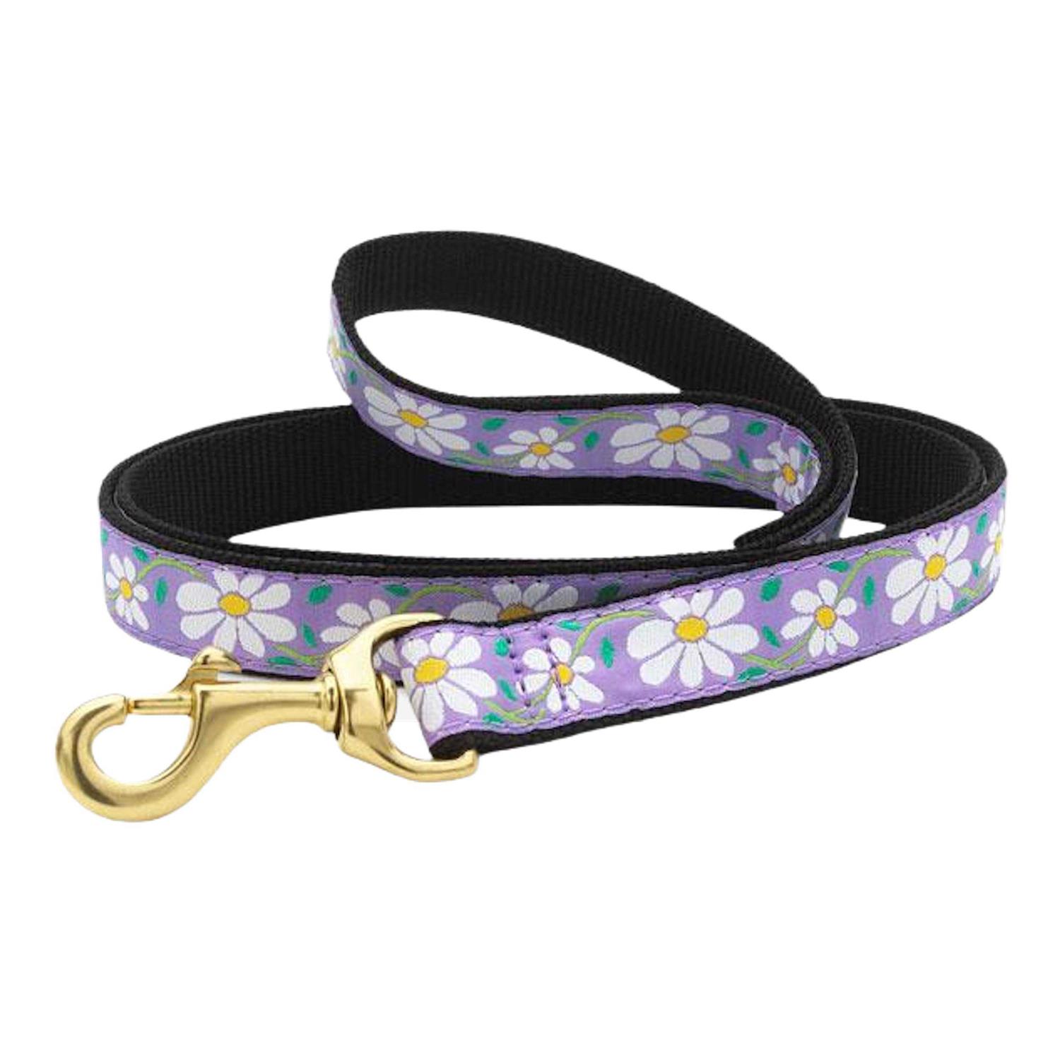 Up Country Daisy Dog Collar - Healthber