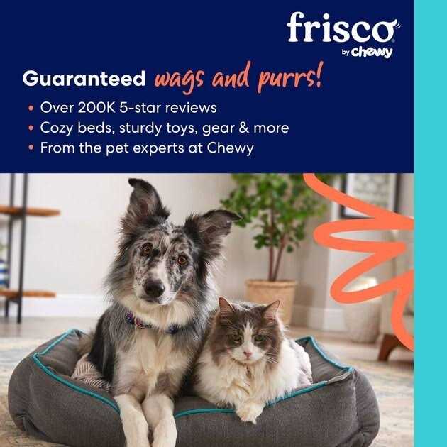 Frisco Fetch Rubber Flyer Dog Toy - Healthber