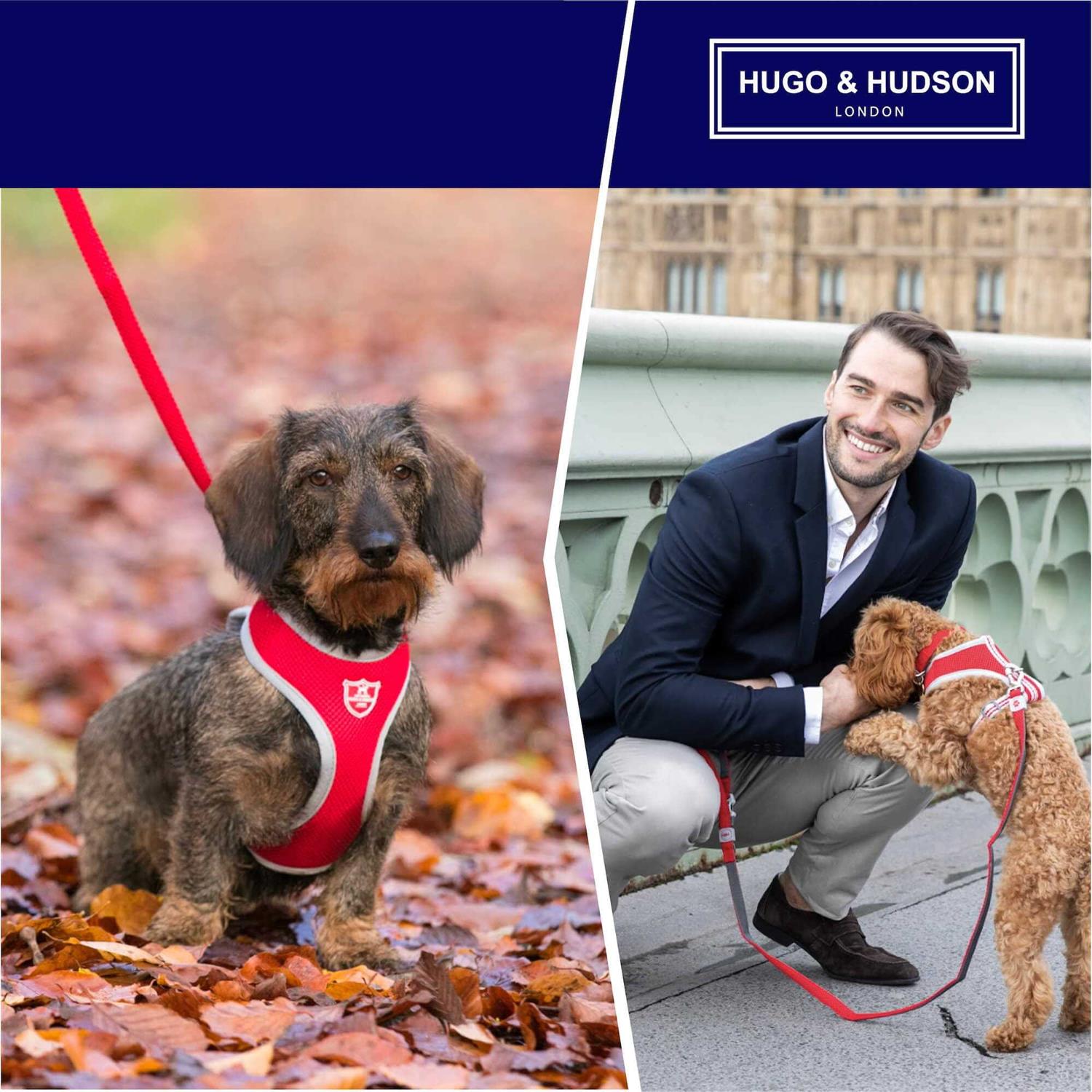 Hugo & Hudson Mesh Dog Collar - Healthber
