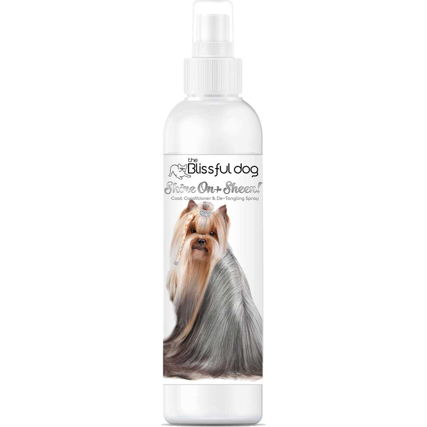 The Blissful Dog Shine-On + Sheen Coat Spray, All Natural, Leave-in Conditioner and Coat Detangler for Your Dog - Healthber