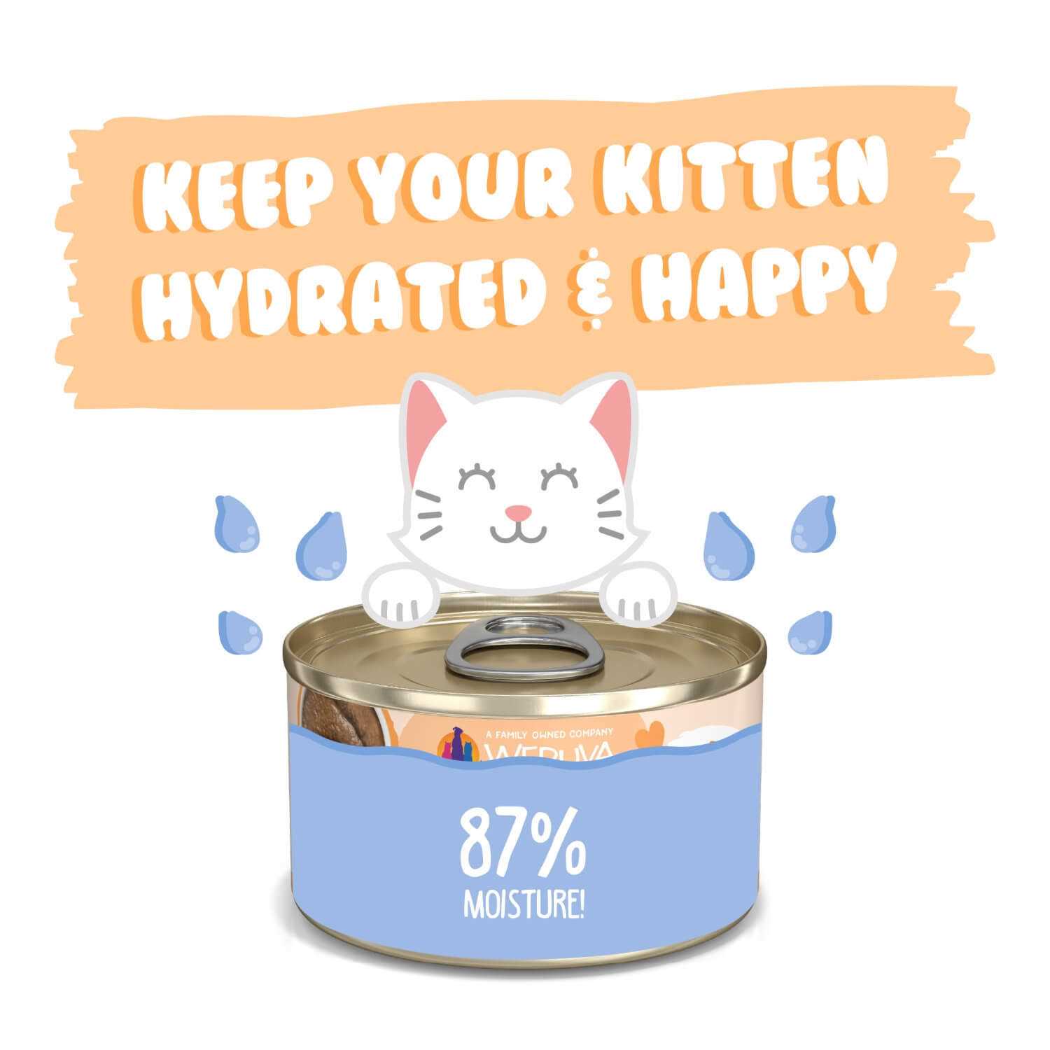 Weruva Kitten Tuna & Salmon Formula in a Hydrating Puree Cat Food - Healthber
