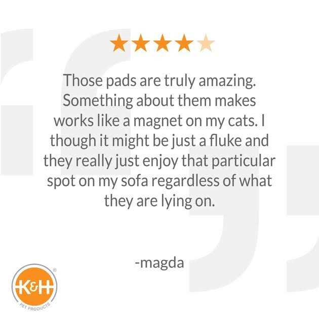 K&H Pet Products Amazin Kitty Pad - Healthber