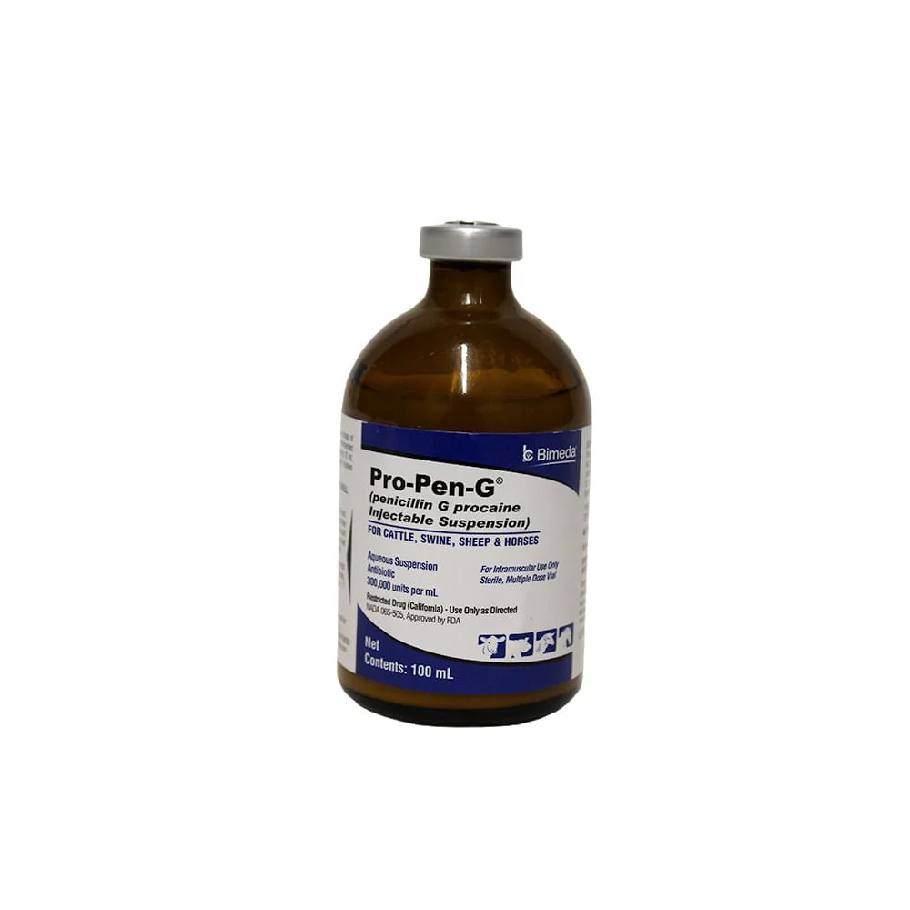 Rx Pro Pen G (penicillin G procaine) Injectable Solution for Cattle, Sheep, Swine, & Horses - Healthber