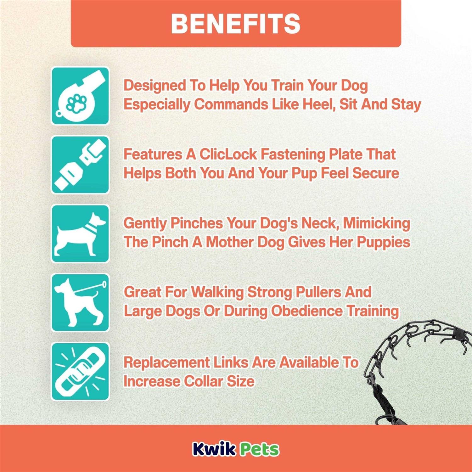 Herm. Sprenger Stainless Ultra-Plus Dog Prong Training Collar with ClicLock - Healthber
