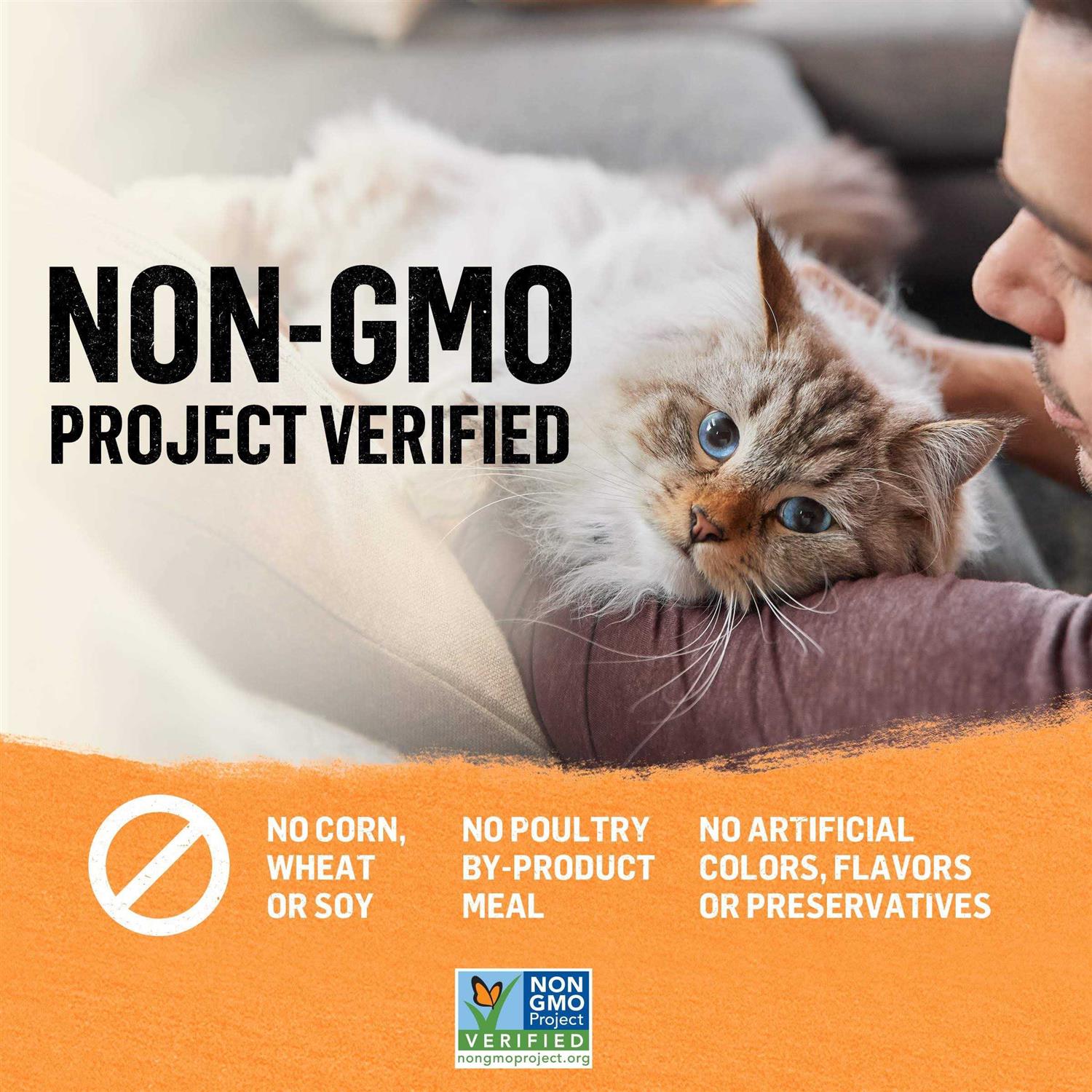 Purina Beyond Organic Pate Wet Cat Food - Healthber