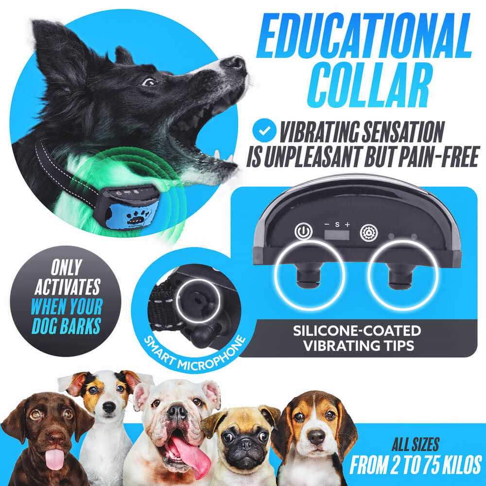 Anti Bark Collar Dog Bark Collar - Healthber
