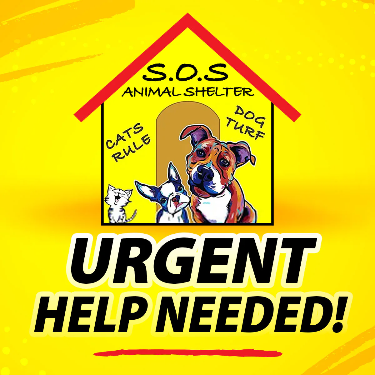 Save SOS Animal Shelter - Healthber