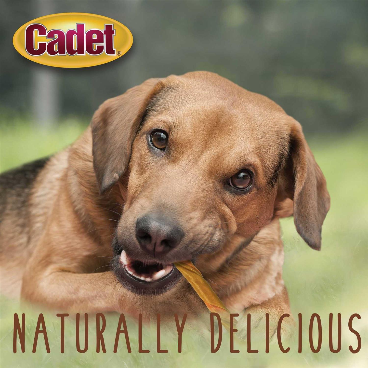 Cadet Choice Chews Peanut Butter Twists Dog Treats - Healthber