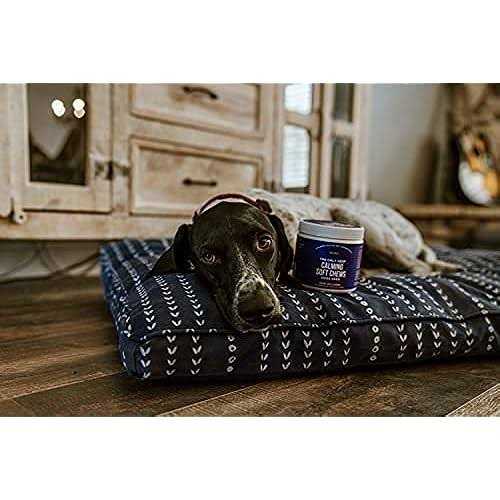 Natural Rapport The Only Calming Soft Chews Dogs Need - Healthber