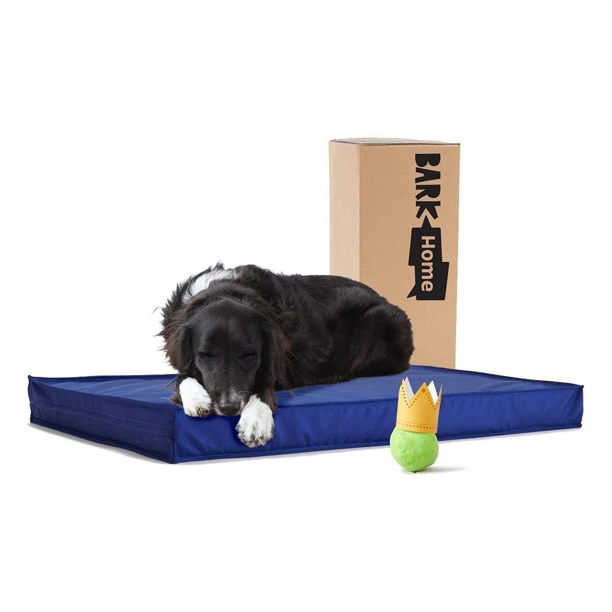 Barkbox Outdoor Dog Bed Waterproof Dog or Cat Mattress Bed with Removable Cover - Healthber