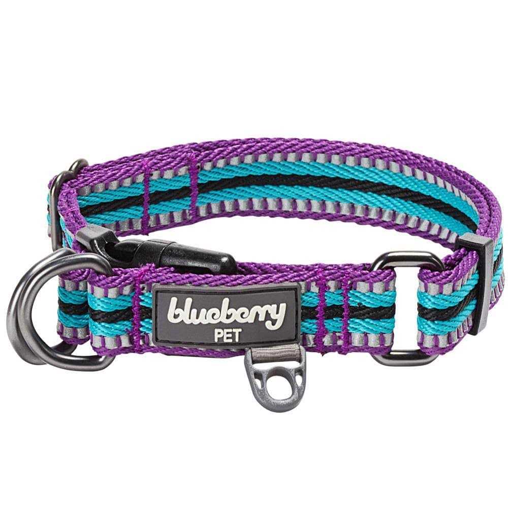 Blueberry Pet 3M Reflective Multi-Colored Stripe and Dog Collar - Healthber
