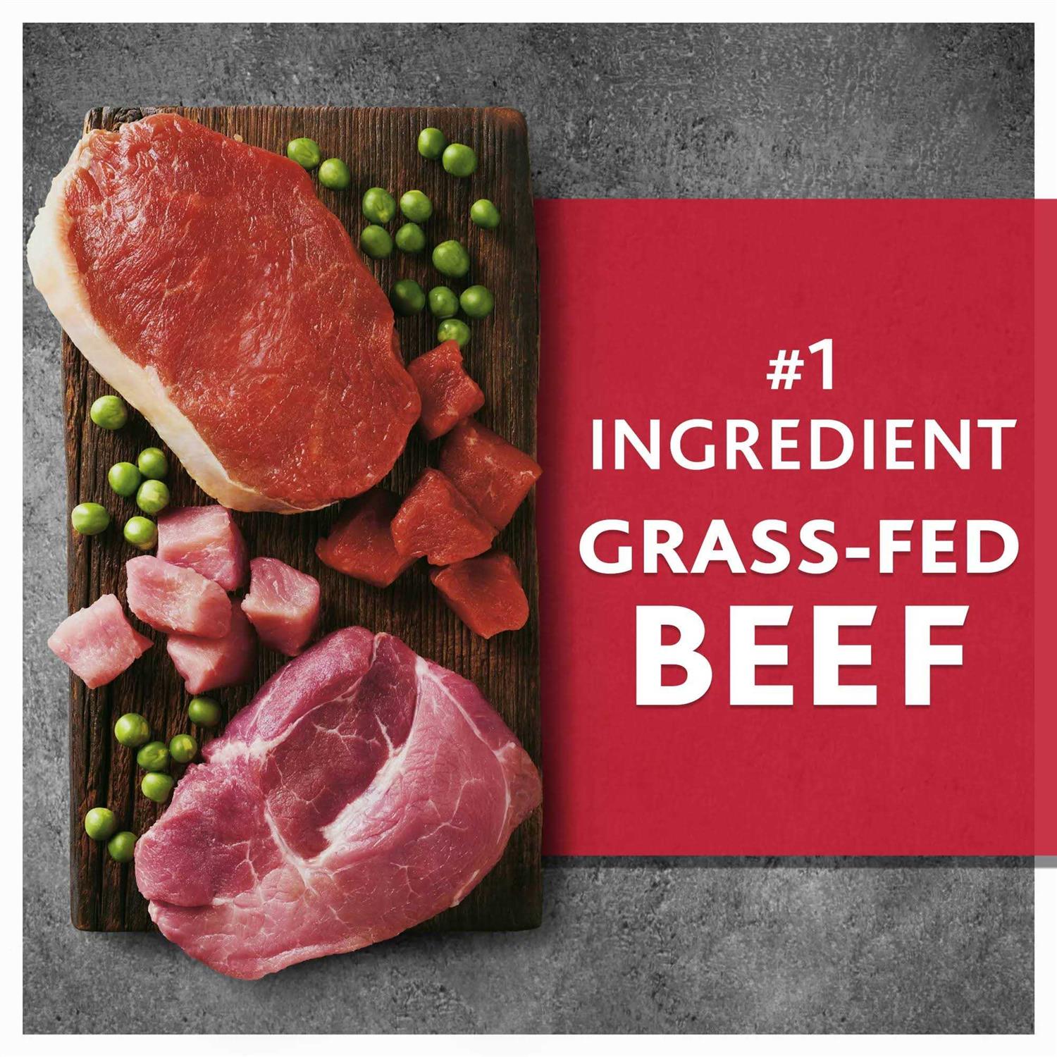 Pure Balance Wild & Free Beef & Wild Boar Recipe Dry Dog Food - Healthber
