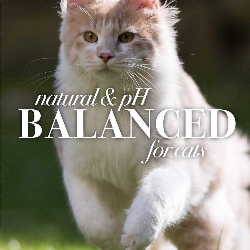 Burt’s Bees Hypoallergenic Cat Shampoo - Healthber