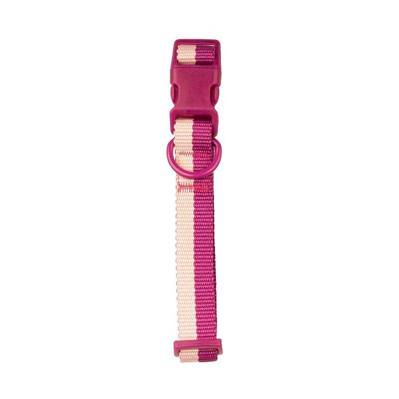 Sonoma Goods For Life Colorblock Pet Collar - Healthber