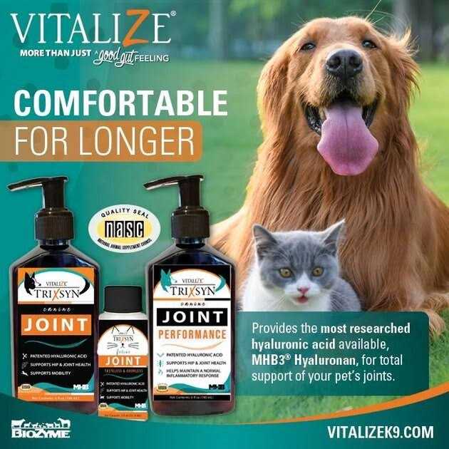 Vitalize Trixsyn Canine Joint Supplement - Healthber